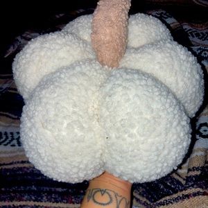 Stuffed Sherpa pumpkin